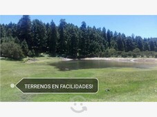 terreno en venta en dentro de magestuso