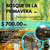 terreno en venta en jalisco