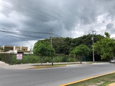 979 m terreno playa del carmen