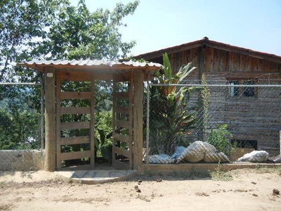 Doomos. Casa Sola Residencial en Renta en Pueblo Tlalnelhuayocan