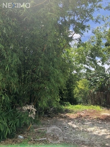 TERRENO RESIDENCIAL EN TULUM QUINTANA ROO