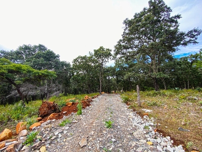 Terrenos de Oportunidad para tu próxima cabaña de descanso ó Inversión en Atejamac de Brizuela.