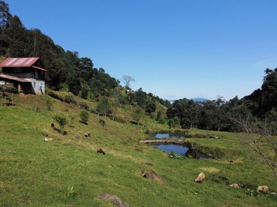 Terreno para proyecto ecoturístico en Huauchinango Pueblo Mágico