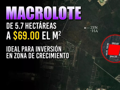 Macrolote 5.77 Has En Nolo Yucatan Ideal Para Desarrollo