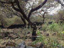 Terreno en Tepoztlán