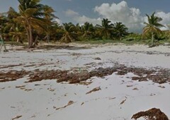 Terreno en Tulum a Pie de Playa