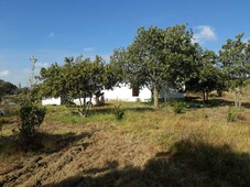 TERRENO EN VENTA, AMECAMECA, ESTADO DE MEXICO