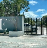 2 cuartos, 75 m departamento en venta en residencial olivos de 2 recamaras