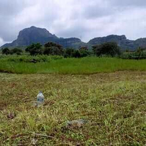 Terreno En Venta O Renta En Tepoztlán, Edo. Morelos