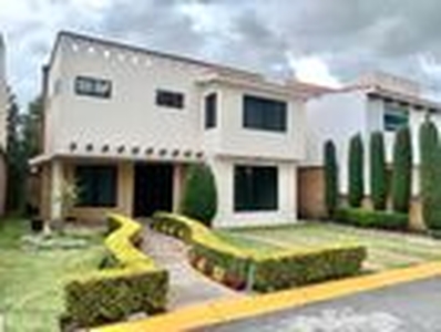 Casa en renta Calle Ricardo Flores Magón, Santa Cruz Otzacatipán, Toluca, México, 50210, Mex