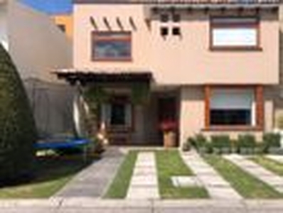 Casa en renta Calle Paseo Del Mayorazgo, Conjunto Hab Rancho San José, Toluca, México, 50210, Mex