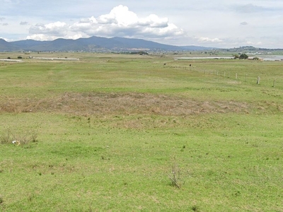 TERRENO EN MUY BUENA UBICACION EN CHAPA DE MOTA