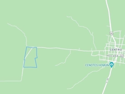 42.3 hectareas en Venta zona de Hocabá