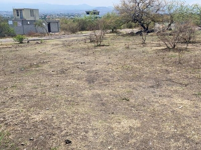 Hermosos terrenos en la Col. Tehuixtlera / Coachizolotera