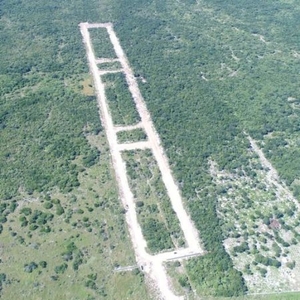 Terreno en venta en Yucatán. Amenidades premium y cenotes dentro del desarrollo.