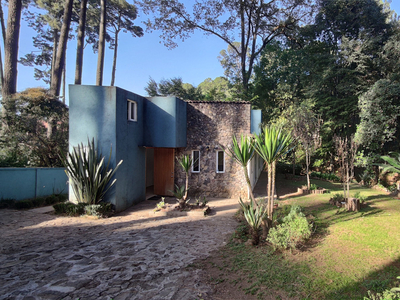 Casa Inmersa En El Bosque Con Arroyo