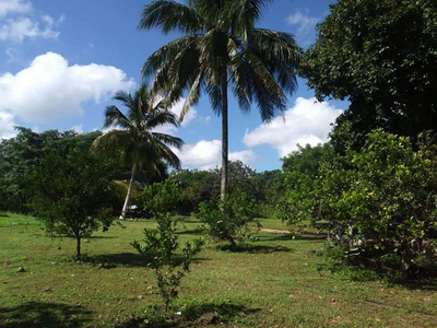 Rancho En Venta En Tunkas Yucatan