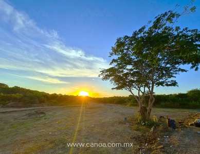 Terreno en venta en punta de mita, Bahía de Banderas, Nayarit