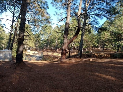 TERRENO EN VENTA EN TAPALPA.