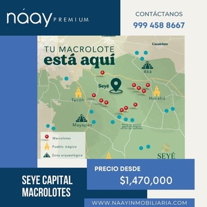 Venta de Macrolotes en Seye, Seye Capital, Yucatán, LDC-003