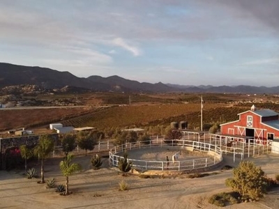 Se vende hermoso Rancho en Valle de Guadalupe, Baja California