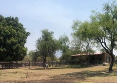 hermoso rancho especial para siembra de alfalfa mercadolibre