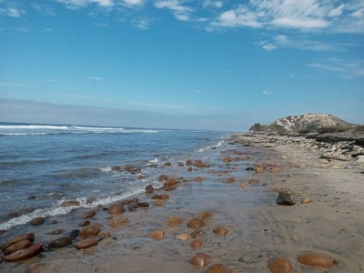Terrenos en venta en San Quintín, con vista y acceso al mar