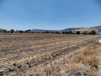 Oportunidad Terreno Pegado a Expo Eventos Ocotlan 13,000 m² LISTO PARA ESCRITURAR