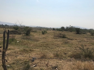 Terreno en venta en san isidro mazatepec, Tala, Jalisco