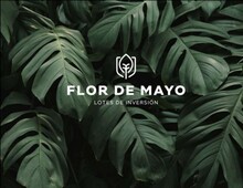 FLOR DE MAYO- TERRENOS DE INVERSION