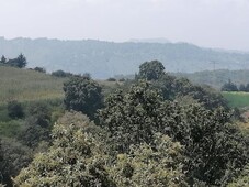 terreno - santa cecilia tepetlapa