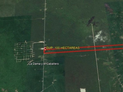 TERRENO CANCÚN SUP. 100 HECTÁREAS