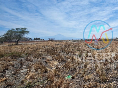 Terreno Plano En Venta Con Conexión A Servicios En Fracc. Paraíso Tlahuica