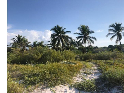 Terreno En Venta En Isla Holbox, Quintana Roo