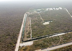 terreno de 80 hectáreas con lago en carretera chicxulub, en venta
