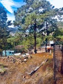 terreno en venta con hermosa vista al lago y al bosque, en valle de bravo.