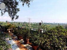 casas en venta - 800m2 - 3 recámaras - jardines del pedregal de san angel - 19,500,000