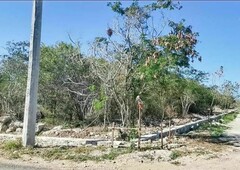 Venta de 3 Lotes ideales para privada residencial - Komchén, Yucatán