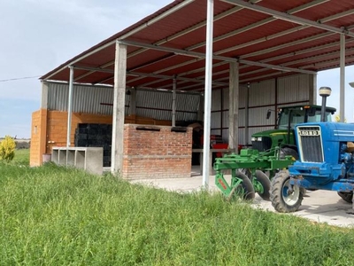 Rancho en Venta en comunidad venta Dolores Hidalgo Cuna de la Independencia Nal., Guanajuato