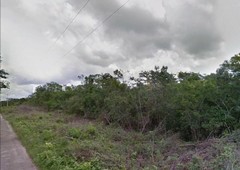 gran terreno de 228 has en venta con cenote, ideal para proyecto turistico.
