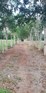 Venta de Rancho ubicado en carretera al Cuyo