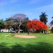 Venta de Excelente Terreno en la Ceiba Club de Golf.