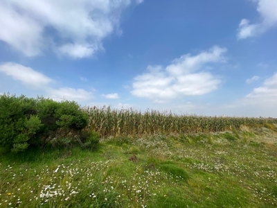 TERRENO EN VENTA EN CALIMAYA