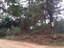 Terreno en venta $11,043,000 MXN Lomas de Tzompantle