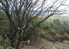 terreno en venta en huertas la joya, fracc. privado, todos los servicios.