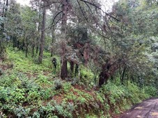 Terreno en venta en los Saúcos, Valle de Bravo.