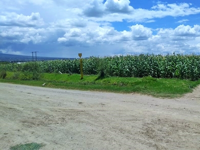 Terreno Huamantla siembra cerca zona industrial venta plano cultivo