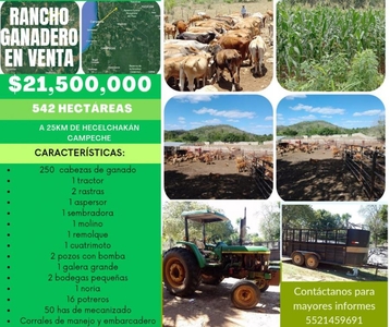 Rancho en Venta en Cumpich Hecelchakán, Campeche