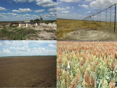 Terreno en venta 3,250 hectáreas de Uso Agrícola, Oxkutzcáb, Yucatán