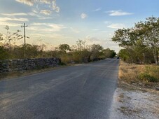 6 hectáreas en venta en mérida, yucatan- en sierra papacal con financiamiento